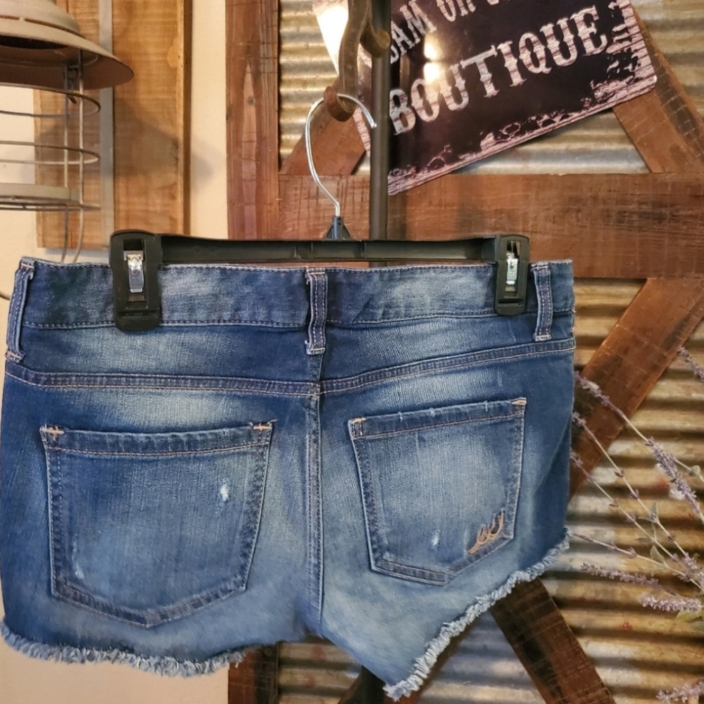 Express shorts - Picture 4 of 6